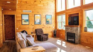 TV connectée, cheminée, jeux vidéo, lecteur de DVD