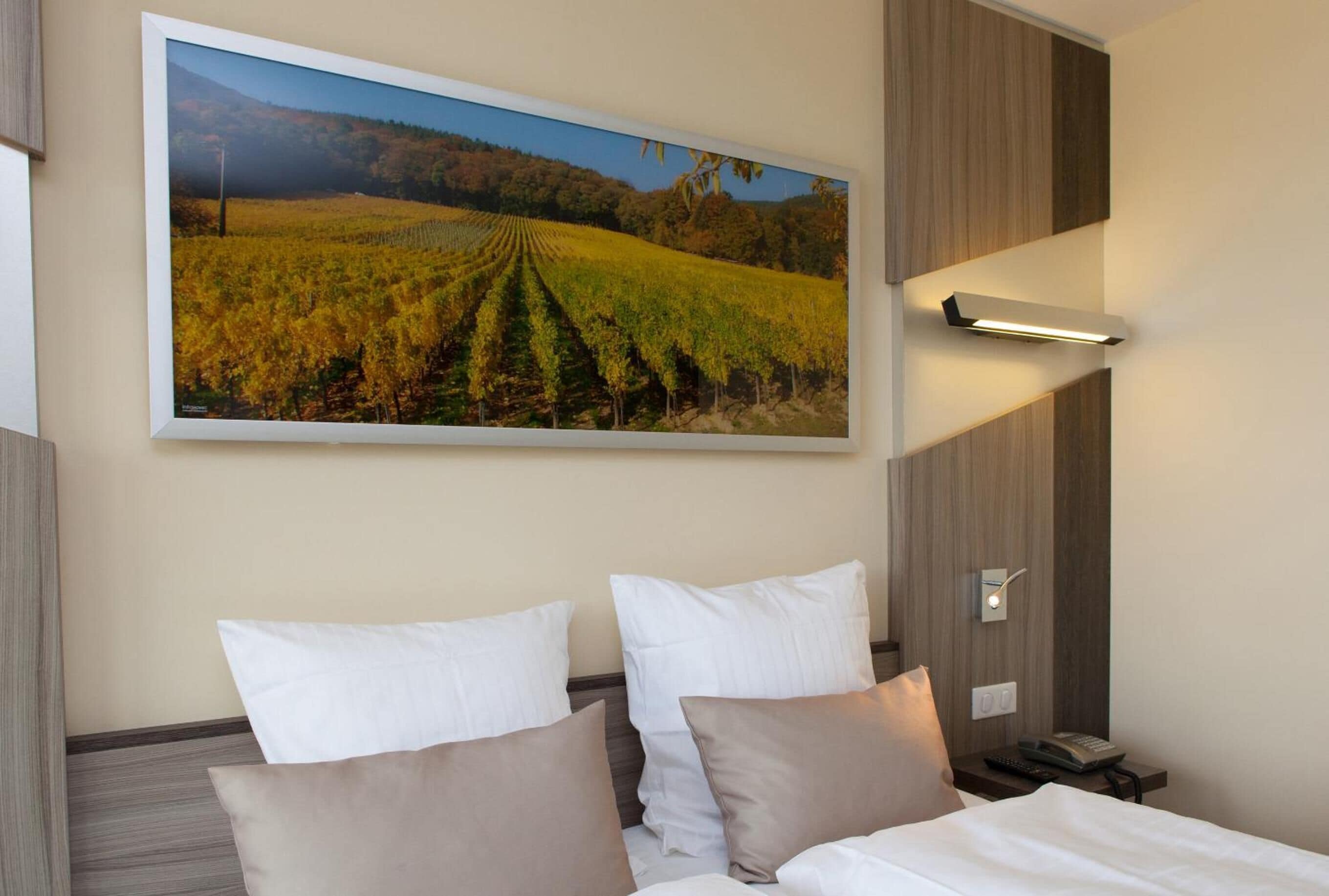 individually decorated, individually furnished, desk, blackout curtains