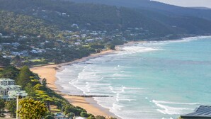 A coastal town with a beach, houses, and a forested hill.