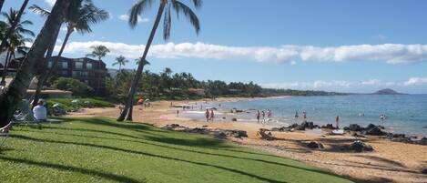 A beach with palm trees, a building in the background, and a clear sky.