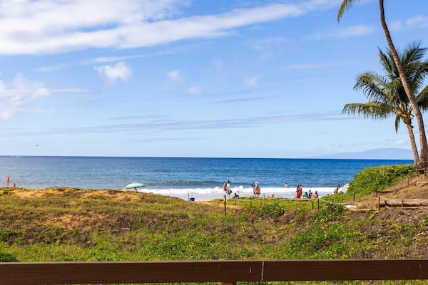 Kamaole II Beach, across the street from Kihei Kai Nani Parking lot.