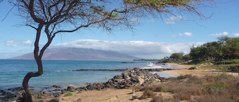 Beach nearby, sun loungers, beach towels