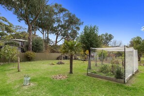 A backyard with a garden bed, a palm tree, and a house in the background.