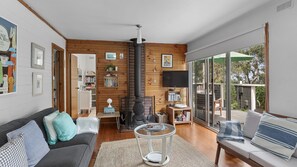 TV, fireplace, DVD player