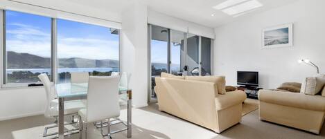 Televisio, DVD-soitin