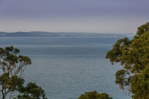 A coastal landscape with a view of the sea, trees, and distant land.