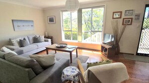TV, fireplace, DVD player