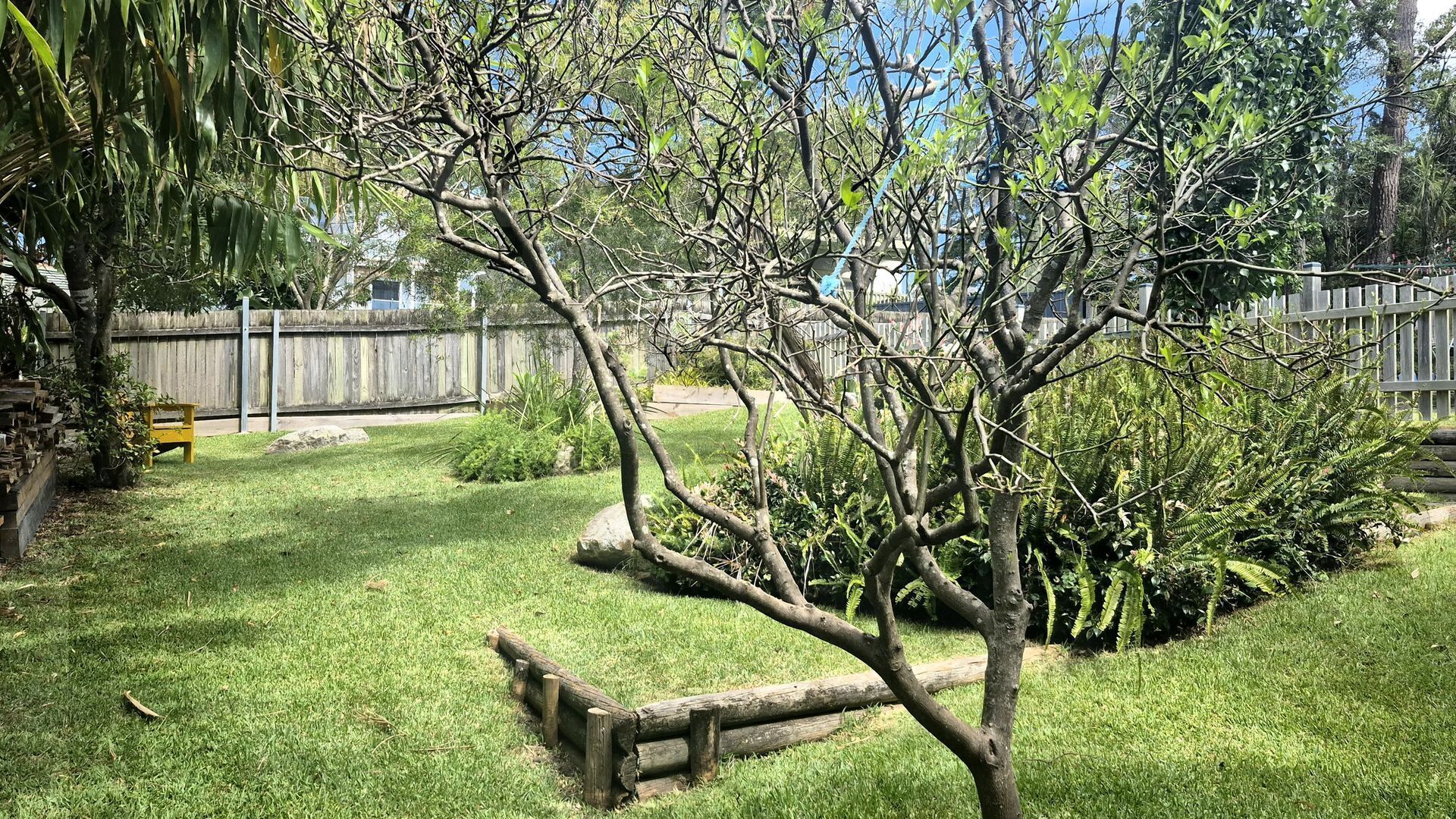 Un patio trasero con un árbol pequeño, una valla de madera y un banco amarillo.