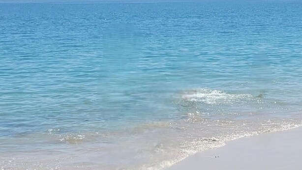 Ein Strand mit klarem, blauen Wasser und einem sandigen Ufer.