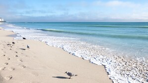 A beach with footprints and seagulls, a clear sky, and calm ocean waves. - Water Lover's Paradise | Waterfront • Private Dock • Heated Pool (Indian Rocks Beach)