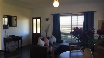 TV, fireplace, DVD player, books