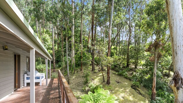 Un patio in legno con un letto e un tavolo, immerso in una zona boscosa con alberi alti e felci.
