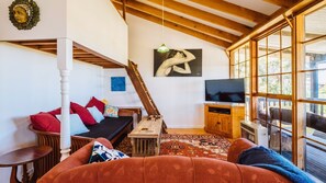 Smart TV, DVD player, books, video library