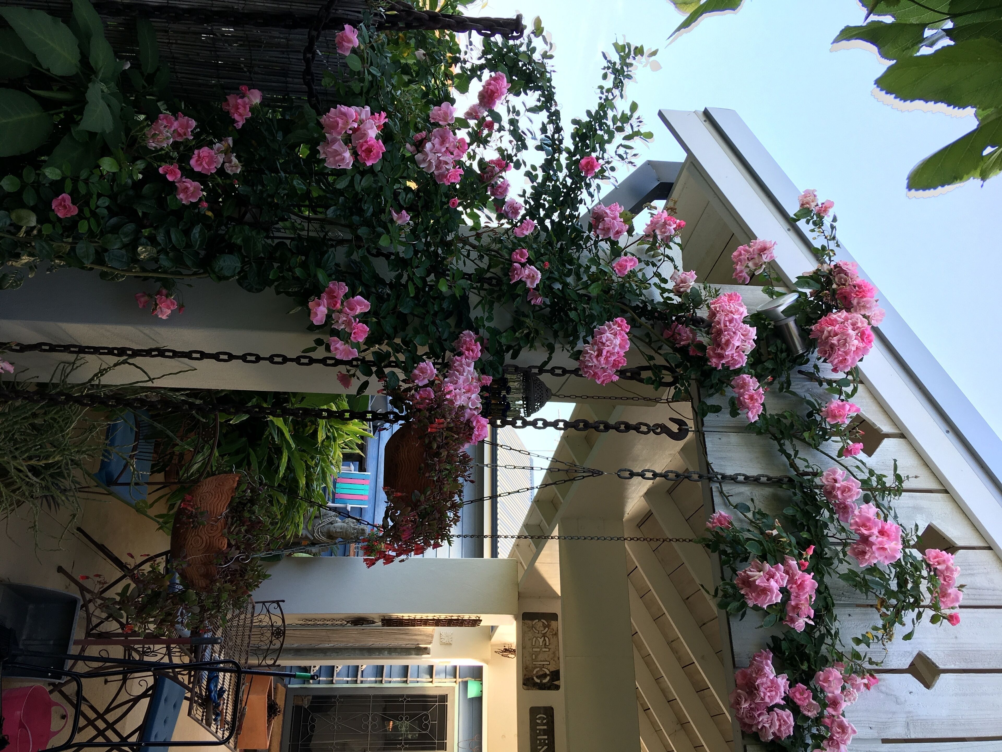 The blue beach house — image 27