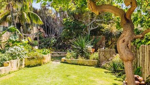 A well-maintained garden with a variety of plants and a central pathway. - The blue beach house (Quinns Rocks)