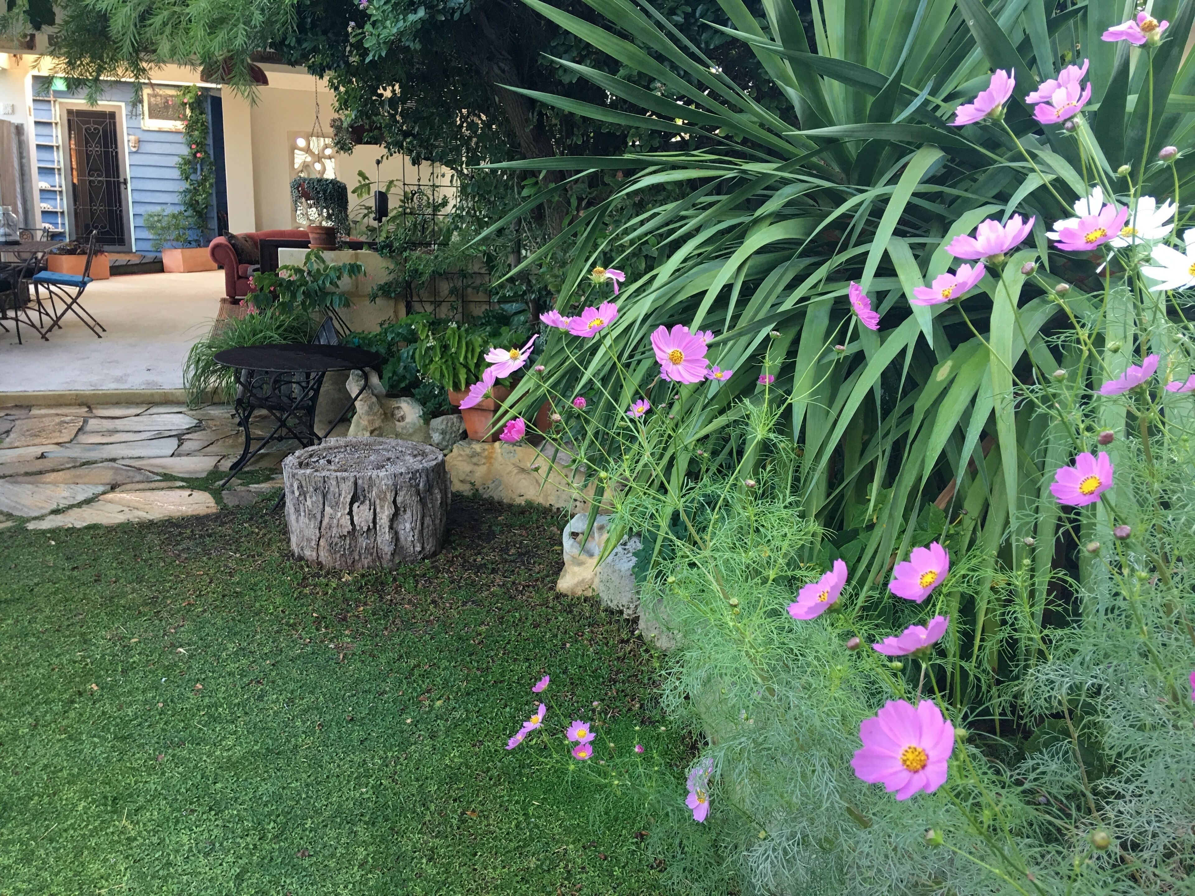 The blue beach house — image 25