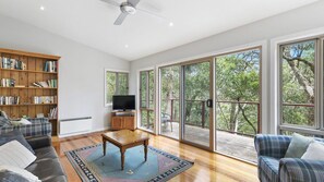 TV, DVD player, music library