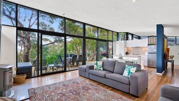 Televisión y chimenea