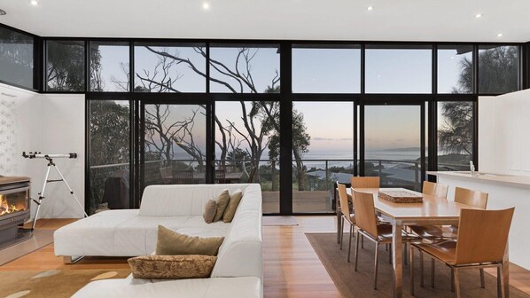 TV, fireplace, DVD player