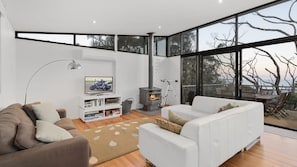 TV, fireplace, DVD player