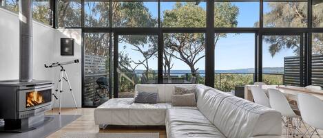 Télévision, cheminée, lecteur de DVD