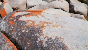 En klippig kustlinje med klart turkosfärgat vatten, stora stenblock och en avlägsen strand med hus.