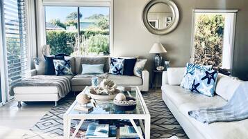 Smart TV, fireplace, DVD player, books