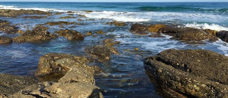 A rocky shoreline with waves crashing against the rocks.