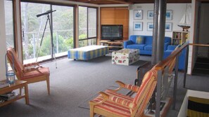 TV, fireplace, DVD player, music library