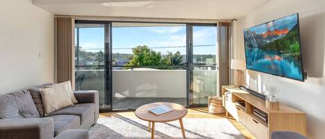 テレビ、DVD プレーヤー