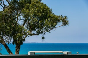 Ein Baum mit freiem Blick auf das Meer und eine entfernte Küstenlinie.