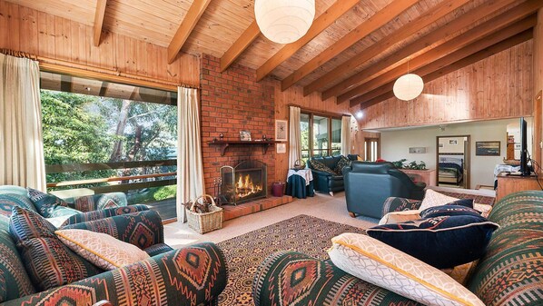 Televisio, takka, DVD-soitin, musiikkikirjasto