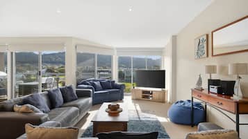 TV, video game console, DVD player, music library