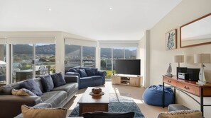 TV, video game console, DVD player, music library