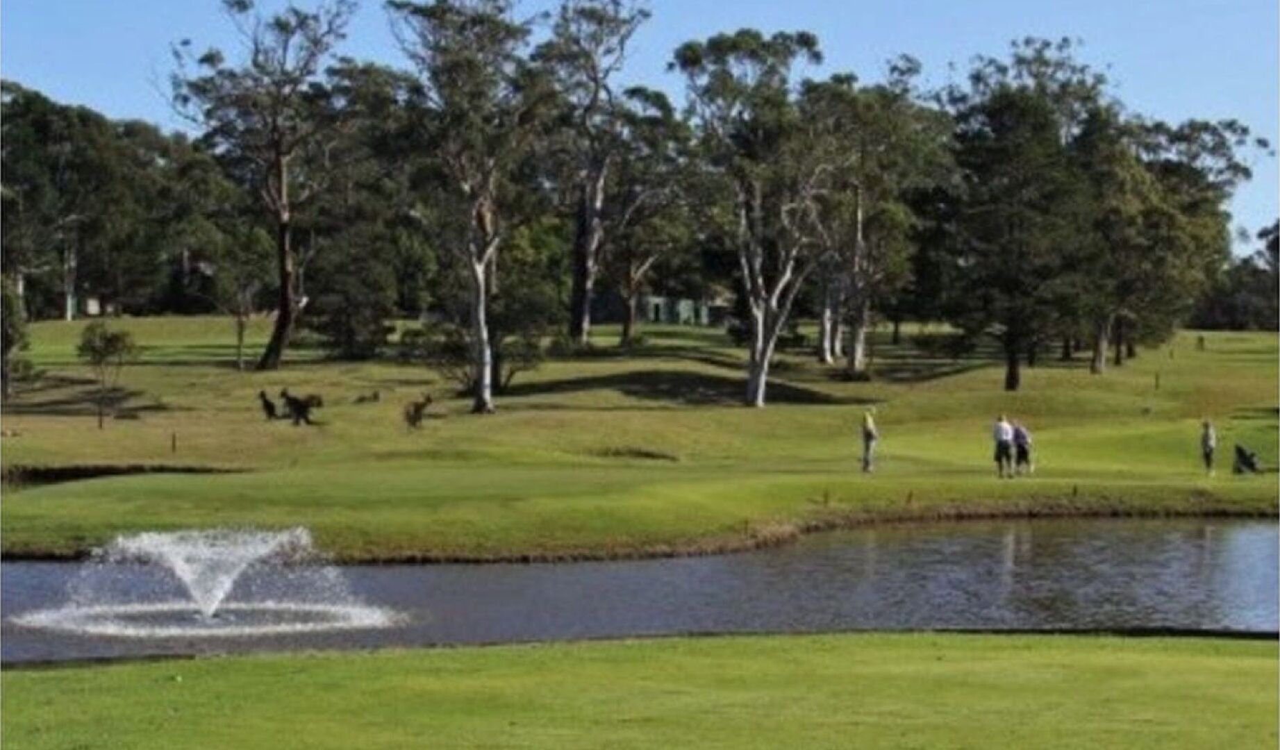 A golf course with a pond, trees, and people playing.