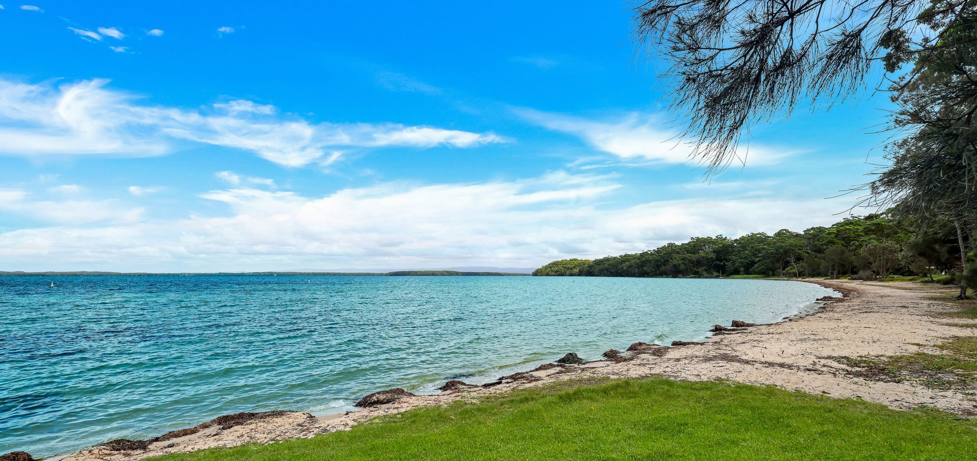 A beach with clear blue water, a grassy foreground, and a forested area in the background.