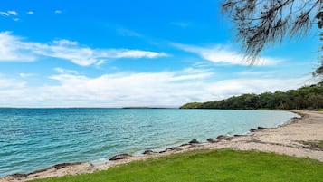 A beach with clear blue water, a grassy foreground, and a forested area in the background.