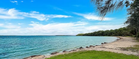 A beach with clear blue water, a grassy foreground, and a forested area in the background.
