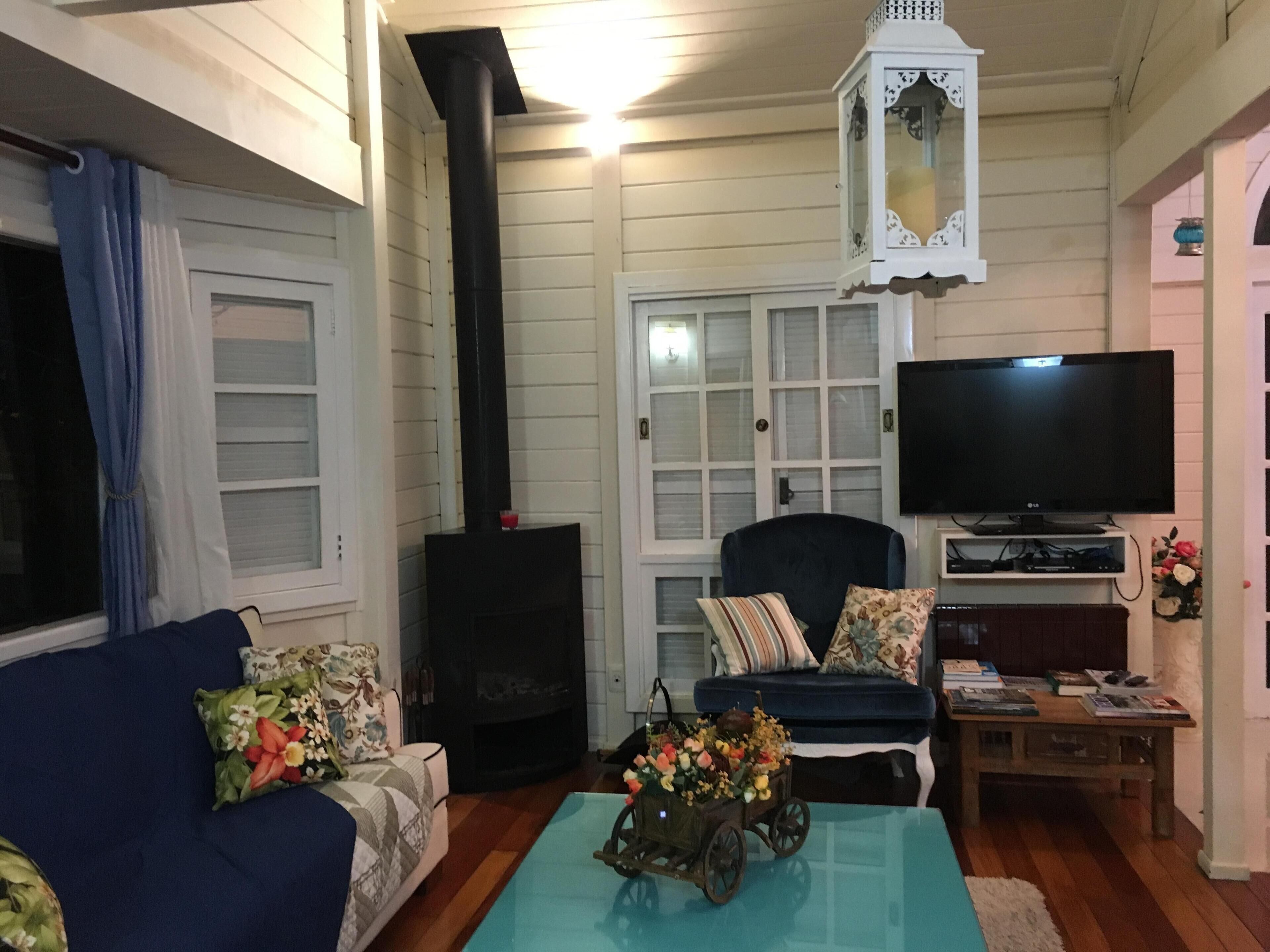 Smart TV, fireplace, DVD player, books