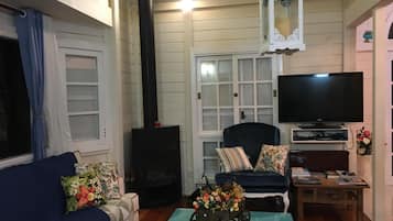 Smart TV, fireplace, DVD player, books