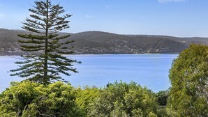 A coastal landscape with a clear view of the sea, a prominent evergreen tree, and a hilly backdrop with scattered buildings. - Apartment 29 Pacific Apartments (Lorne)