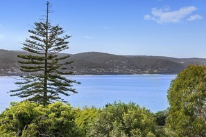 A coastal landscape with a clear view of the sea, a prominent evergreen tree, and a hilly backdrop with scattered buildings. - Apartment 29 Pacific Apartments (Lorne)