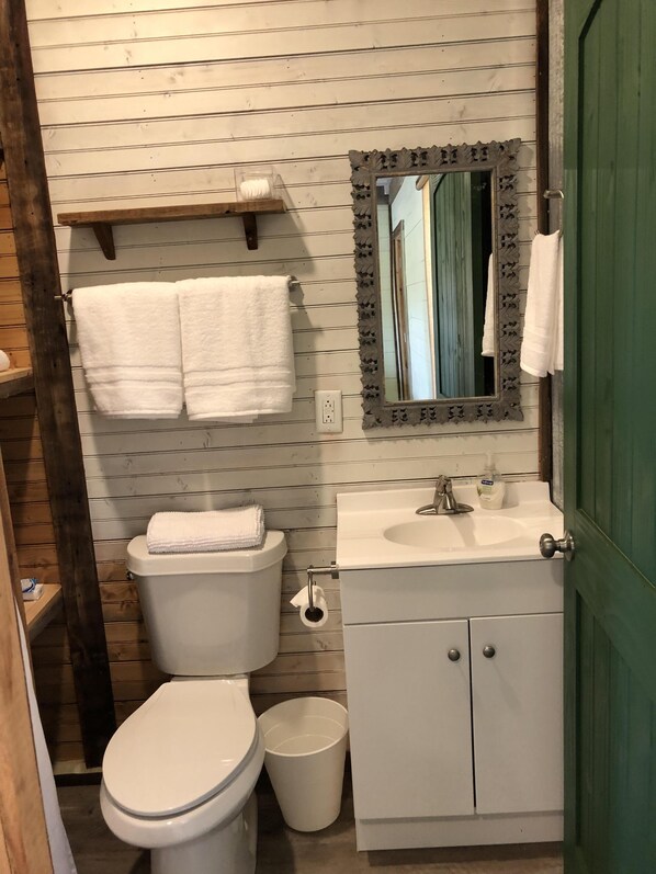 Combined shower/tub, hair dryer, towels, soap