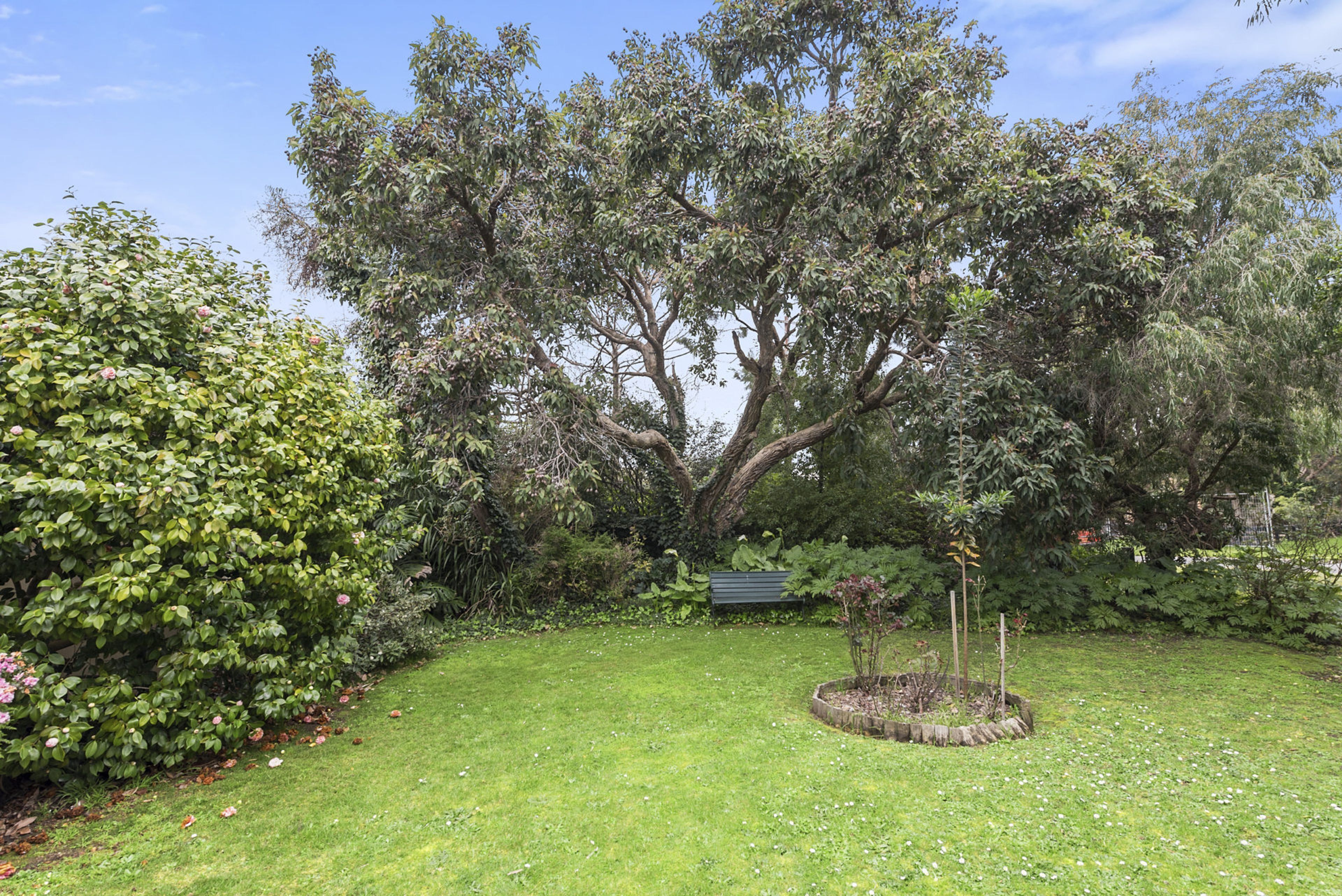 A well-maintained garden with a large tree, a grassy lawn, and a bench.