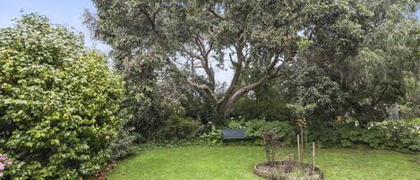 A well-maintained garden with a large tree, a grassy lawn, and a bench.