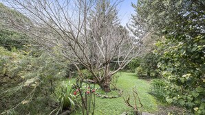 Um jardim com diversas plantas e árvores, um caminho de pedra e um pequeno lago.