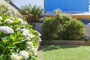 Un jardín con arbustos de hortensias blancas, una valla de madera y un edificio azul al fondo.