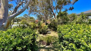 Ein Garten mit verschiedenen Sträuchern und Bäumen, einem Weg und einem Gebäude im Hintergrund.