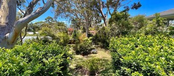 728 - Kookaburra Dreaming - KUN 400 m FRA STRANDEN