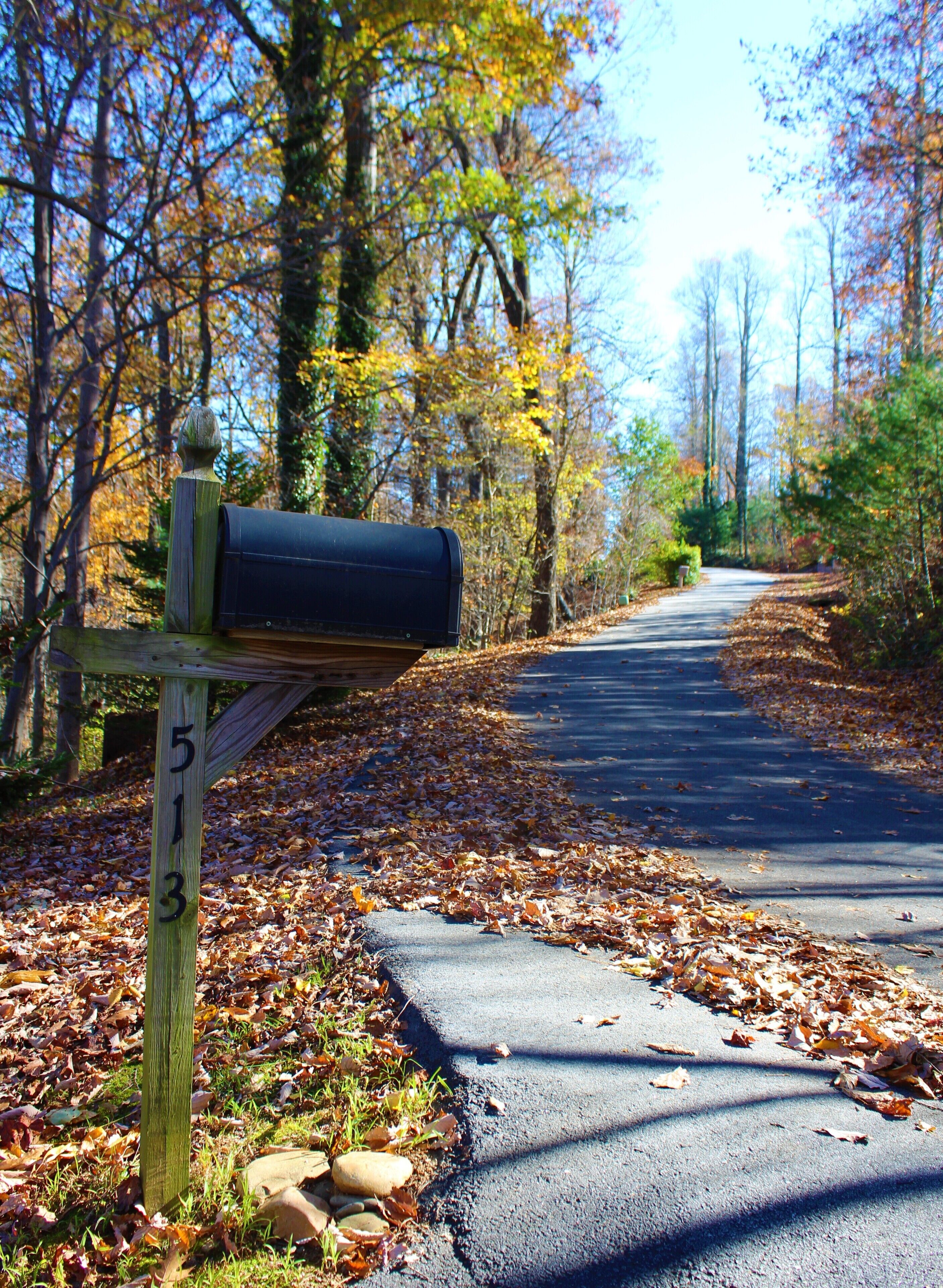Our driveway and Mailbox